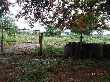 Jaboticabal Jardim Tangara Chacara Venda R$400.000,00 Area do terreno 4305.46m2 Jaboticabal Jardim Tangara Chacara Venda R$400.000,00 Area do terreno 4305.46m2