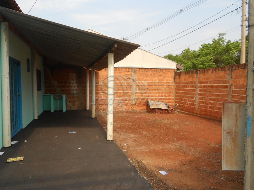 Casas / Padrão em Ribeirão Preto - foto 12