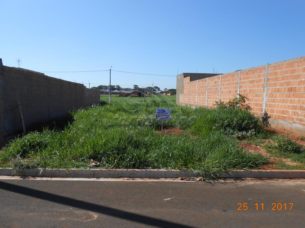 Terrenos / Residencial em Jaboticabal - foto 0