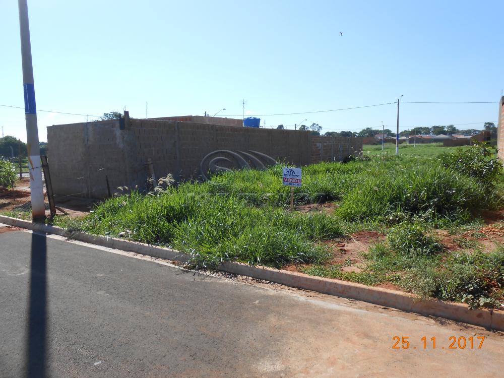 Terrenos / Residencial em Jaboticabal - foto 1