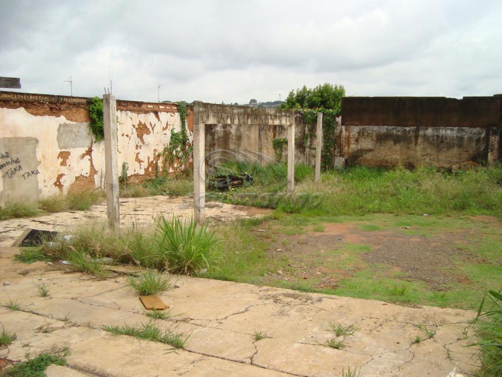 Comerciais / Salão em Jaboticabal - foto 6