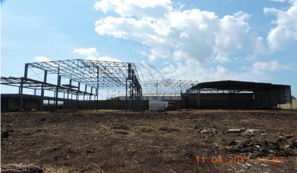 Comerciais / Galpão em Santa Cruz da Esperança - foto 3