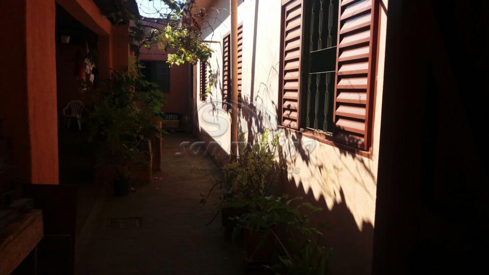 Casas / Padrão em Ribeirão Preto - foto 2