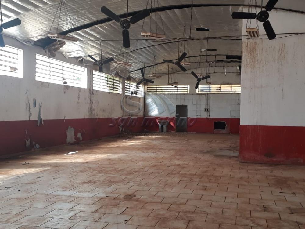 Comerciais / Prédio em Barrinha - foto 3