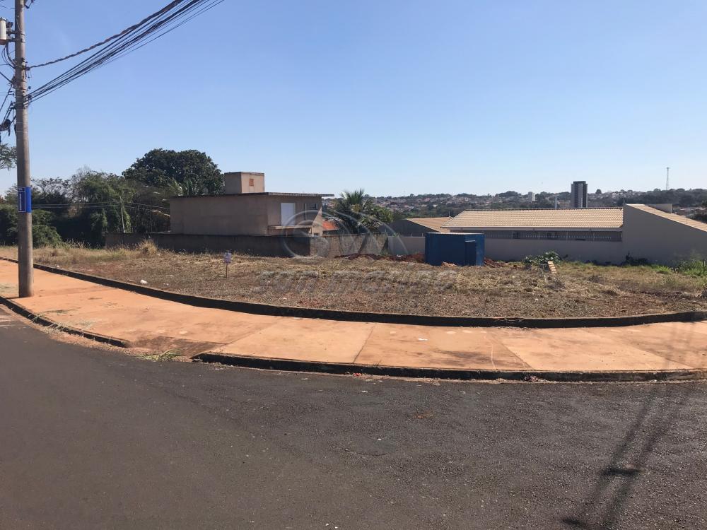 Casas / Padrão em Jaboticabal - foto 1