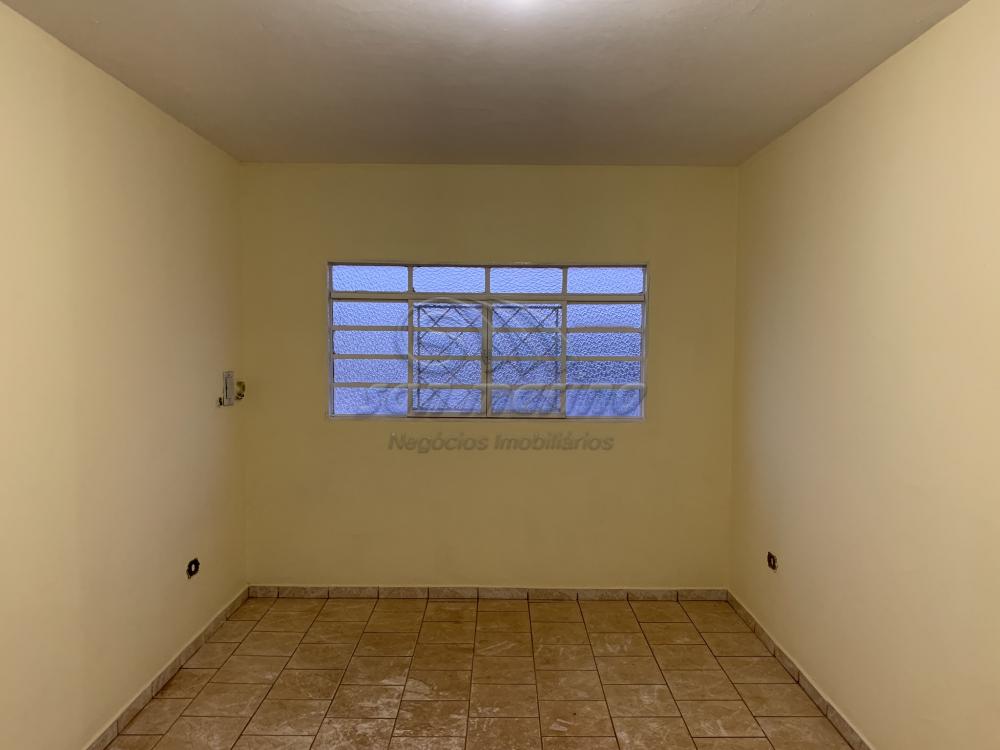 Apartamentos / Padrão em Jaboticabal - foto 6