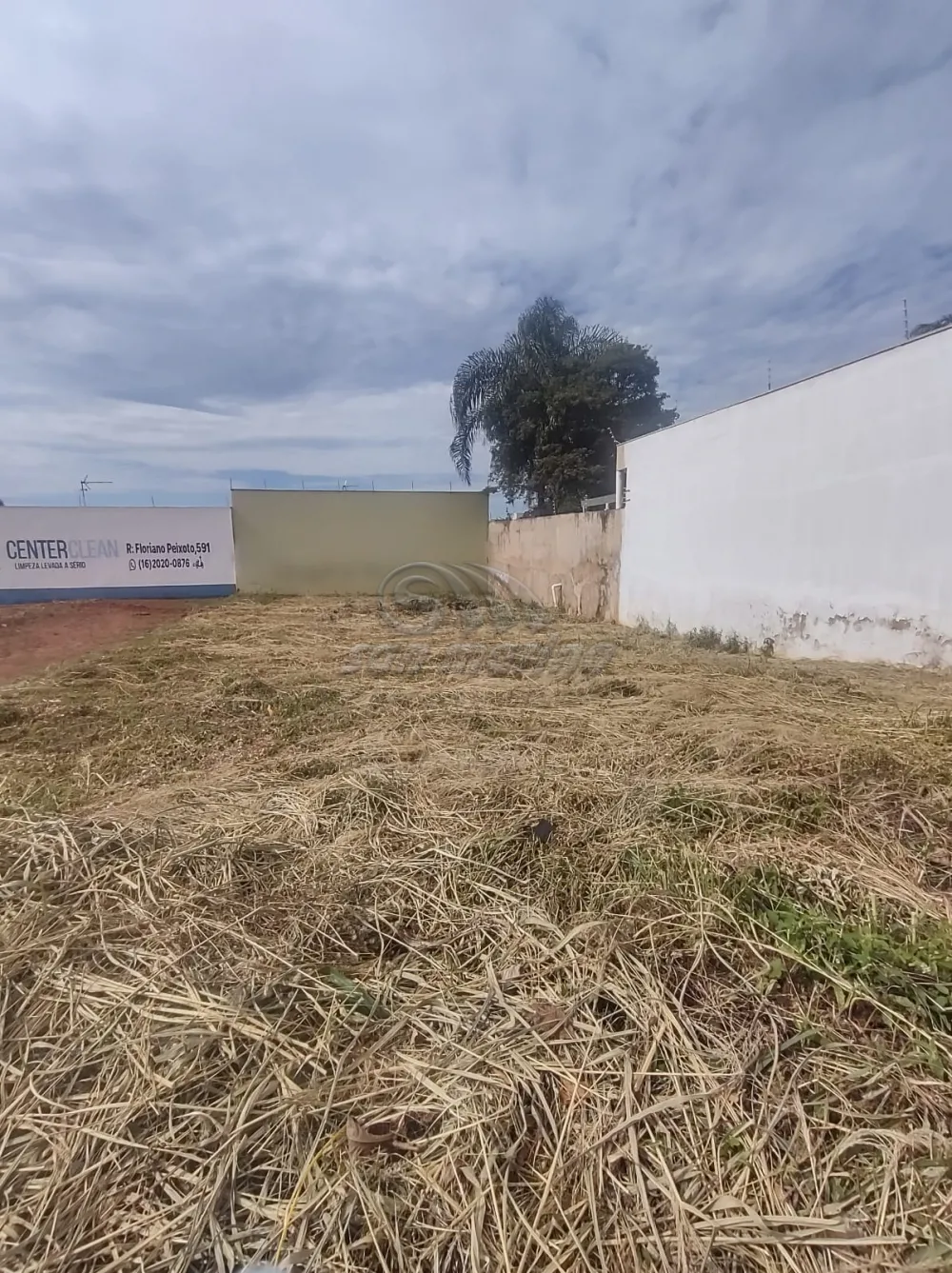 Terrenos / Residencial em Jaboticabal - foto 1