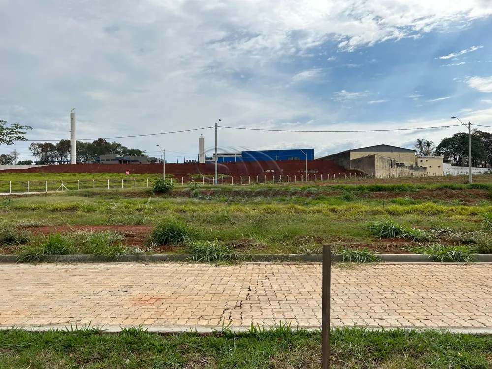 Terrenos / Comercial em Jaboticabal - foto 0