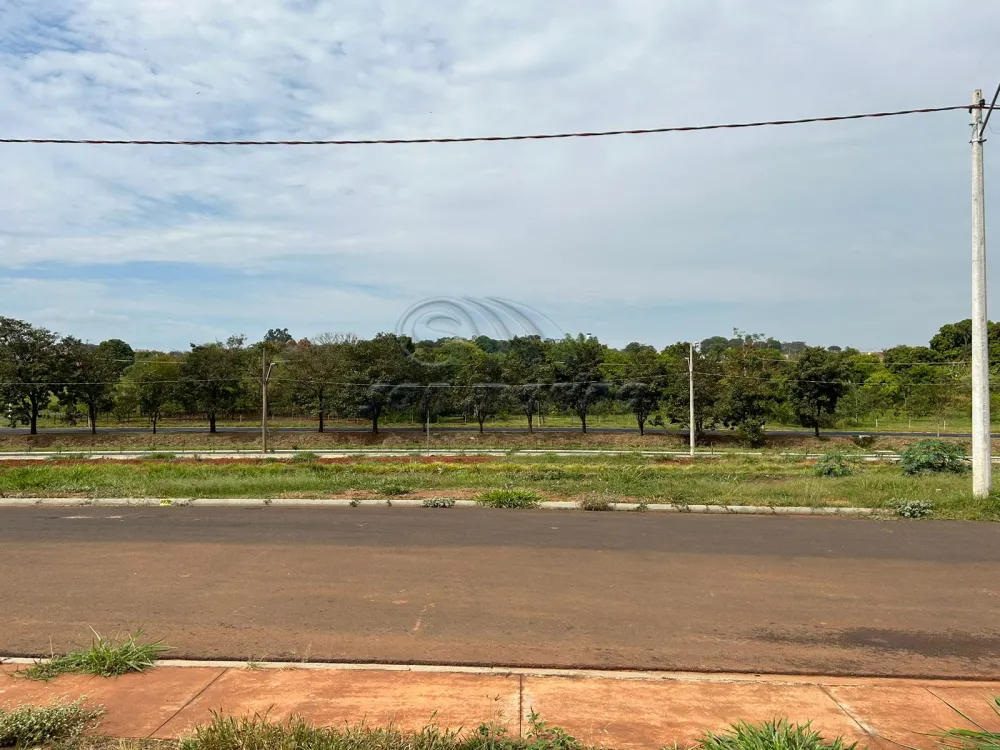 Terrenos / Comercial em Jaboticabal - foto 1