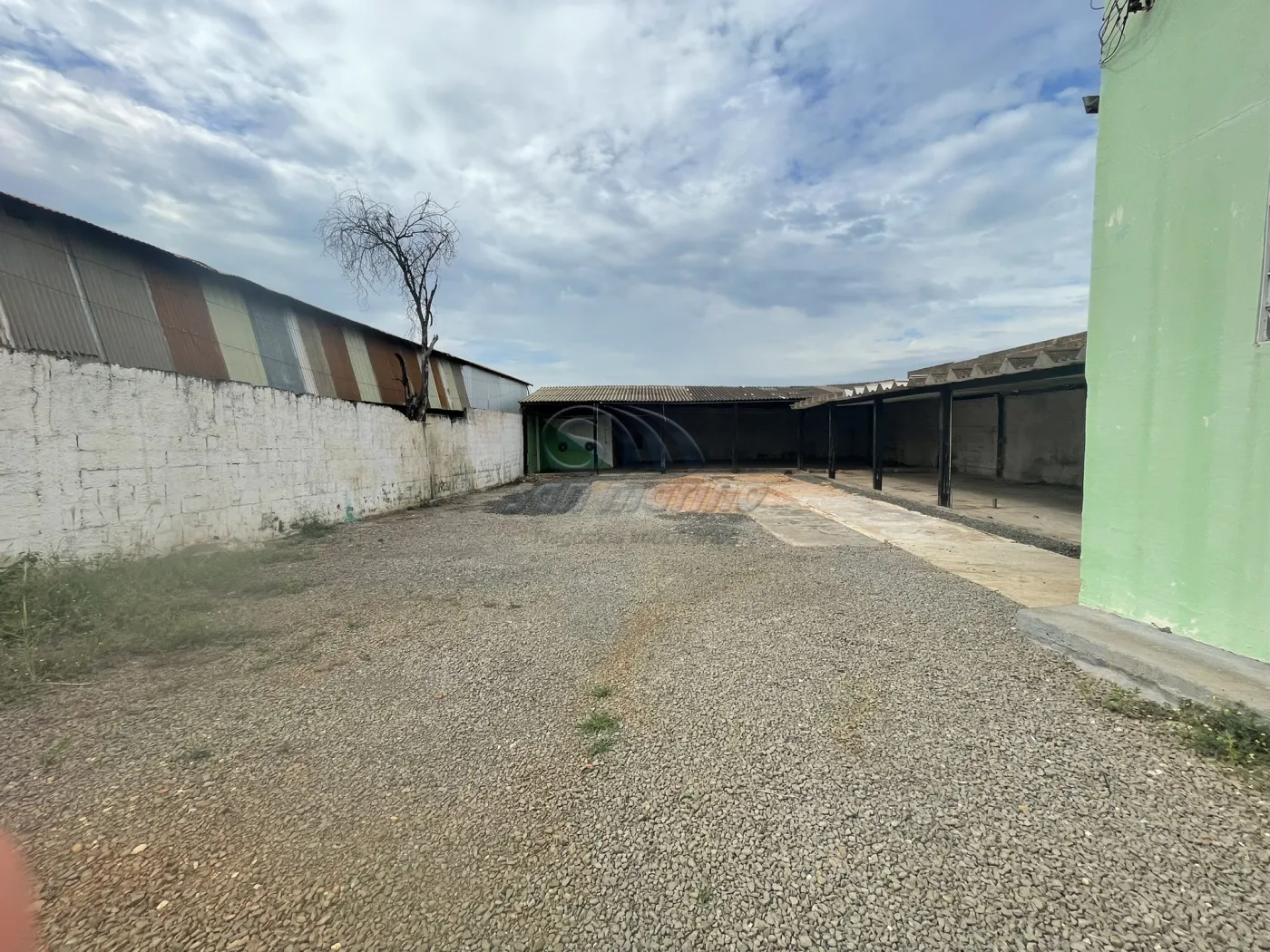 Comerciais / Galpão em Jaboticabal - foto 9