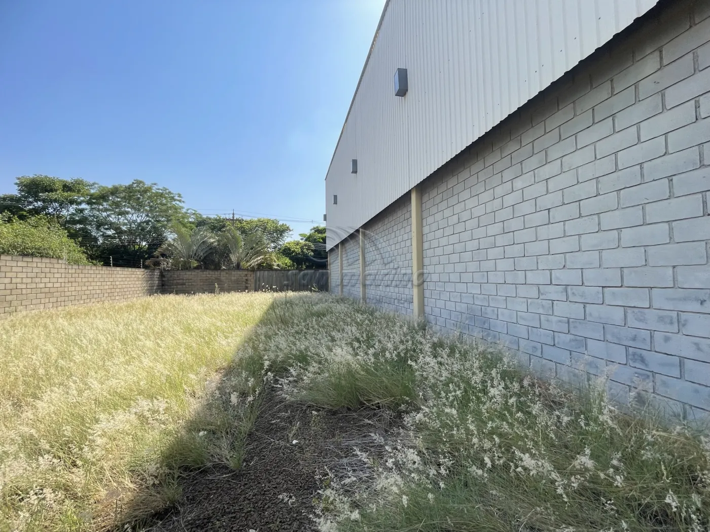 Comerciais / Galpão em Jaboticabal - foto 16