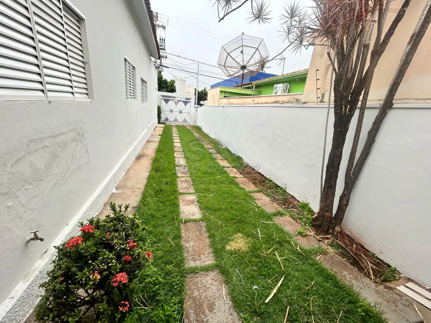 Casas / Padrão em Jaboticabal - foto 21