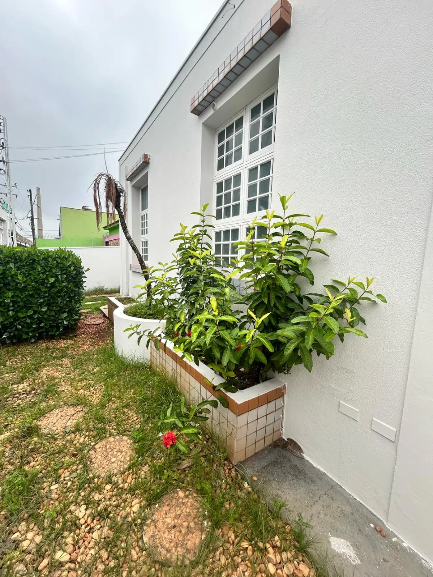 Casas / Padrão em Jaboticabal - foto 0