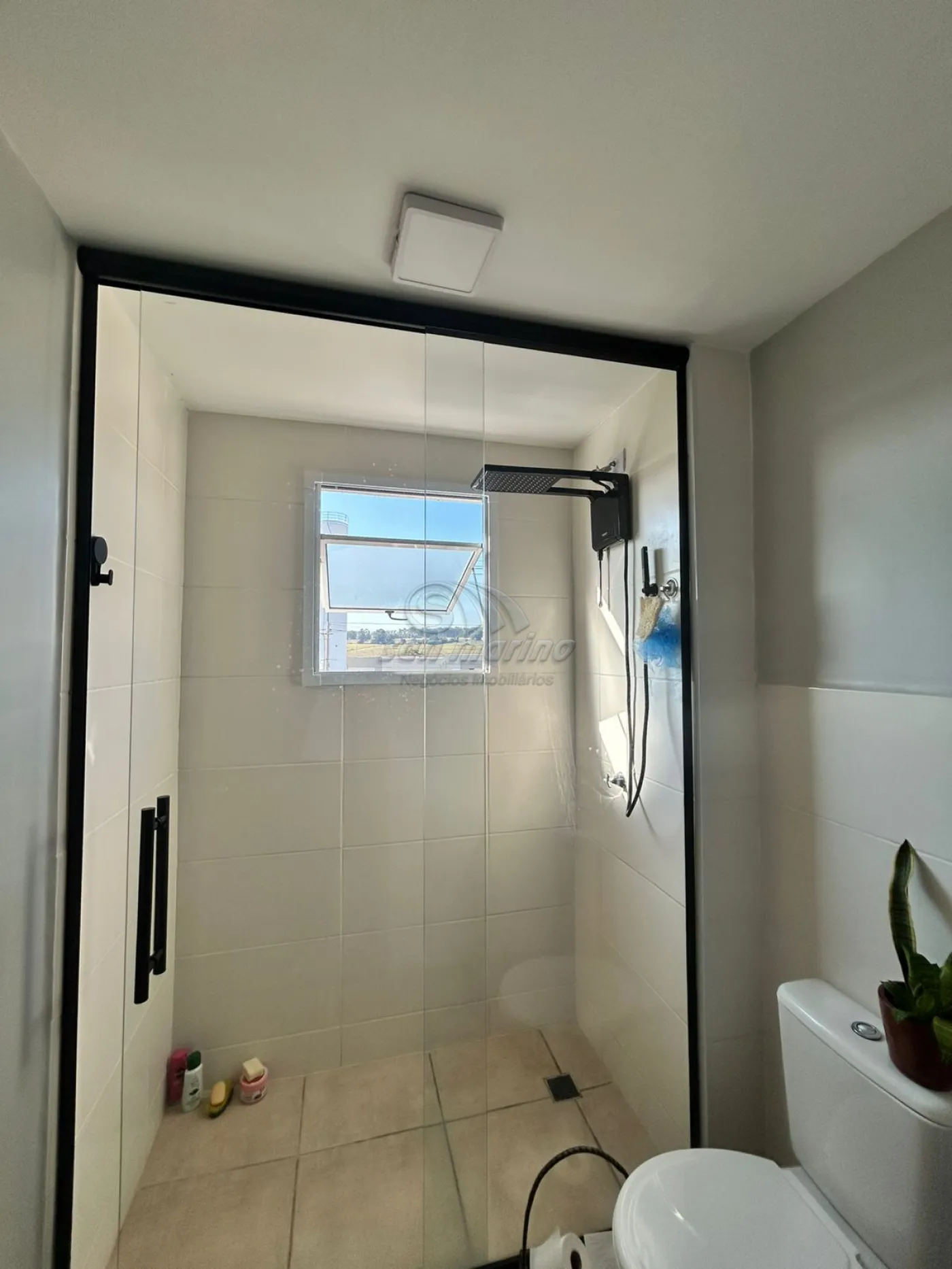 Apartamentos / Padrão em Jaboticabal - foto 8