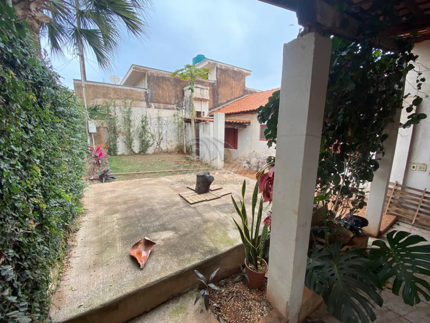 Casas / Padrão em Jaboticabal - foto 2