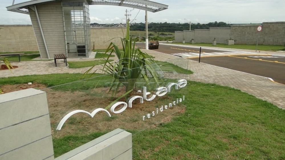 Casas / Condomínio em Jaboticabal - foto 7