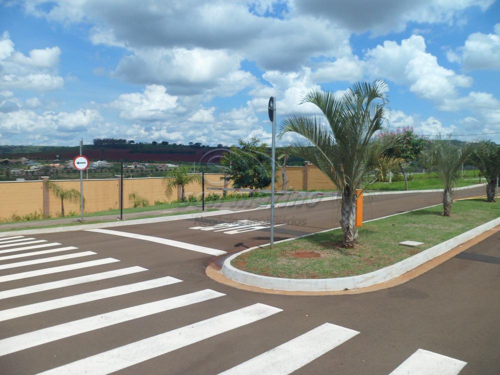 Terrenos / Condomínio em Ribeirão Preto - foto 7