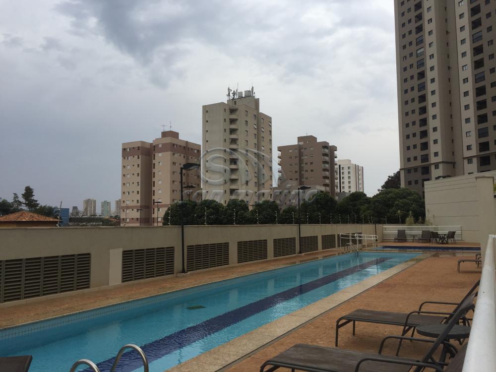 Apartamentos / Padrão em Ribeirão Preto - foto 16