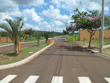 Terrenos / Condomínio em Ribeirão Preto - foto 6