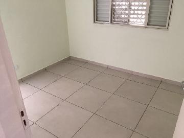 Casas / Padrão em Jaboticabal - foto 7