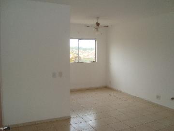 Alugar Apartamentos / Kitnet em Jaboticabal. apenas R$ 800,00