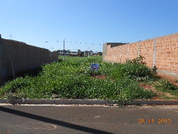 Terrenos Residencial