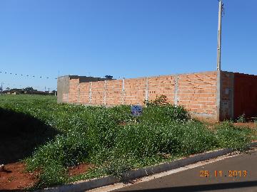 Terrenos / Residencial em Jaboticabal - foto 2