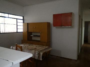 Casas / Padrão em Jaboticabal - foto 8