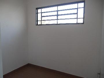 Casas / Padrão em Jaboticabal - foto 12