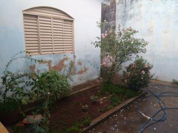 Casas / Padrão em Ribeirão Preto - foto 23