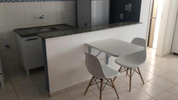 Apartamentos / Kitnet em Jaboticabal - foto 7