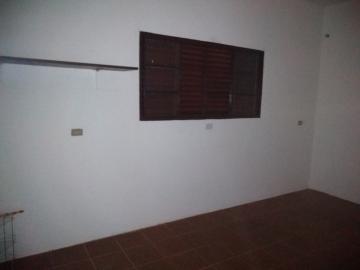 Casas / Edícula em Jaboticabal - foto 4