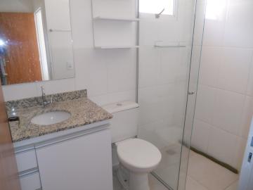 Apartamentos / Padrão em Jaboticabal - foto 9