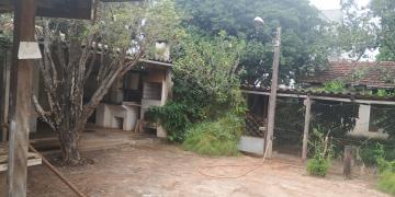 Casas / Padrão em Jaboticabal - foto 12