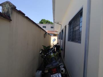 Casas / Padrão em Ribeirão Preto - foto 19