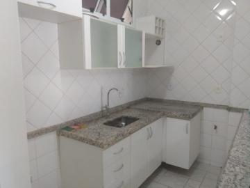 Apartamentos / Kitnet em Ribeirão Preto - foto 4