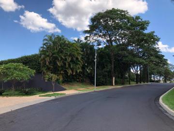 Casas / Condomínio em Ribeirão Preto - foto 6