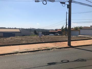 Casas / Padrão em Jaboticabal - foto 2