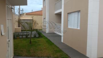 Apartamentos / Padrão em Jaboticabal - foto 1