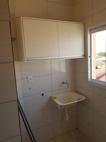 Apartamentos / Padrão em Jaboticabal - foto 4