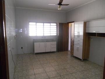 Casas / Padrão em Jaboticabal - foto 5