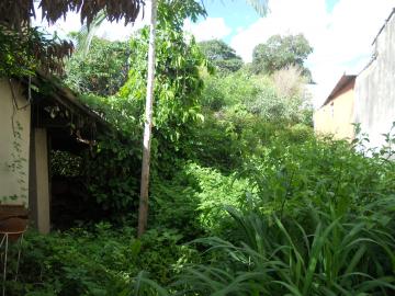 Terrenos / Residencial em Jaboticabal - foto 6