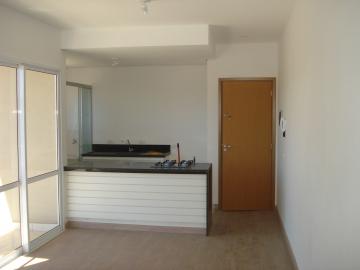 Apartamentos Padrão