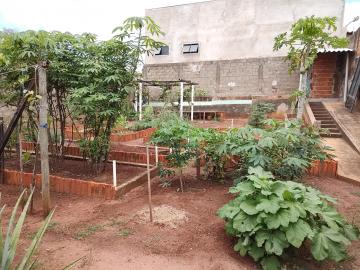 Casas / Padrão em Jaboticabal - foto 4