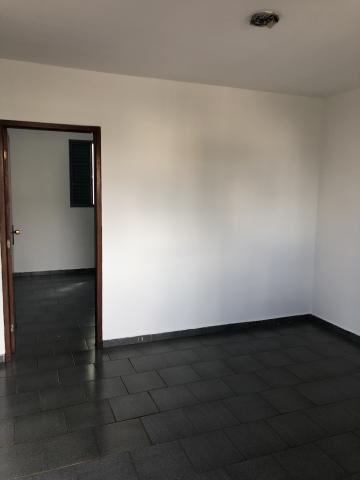 Apartamentos / Kitnet em Jaboticabal - foto 4