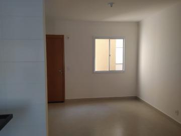 Apartamentos / Padrão em Jaboticabal - foto 3