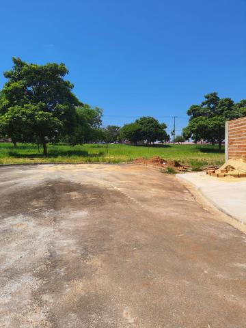 Terrenos Residencial