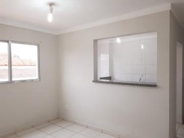 Apartamentos Padrão