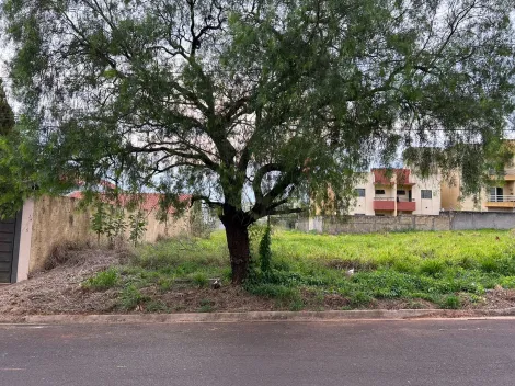 Terrenos Misto