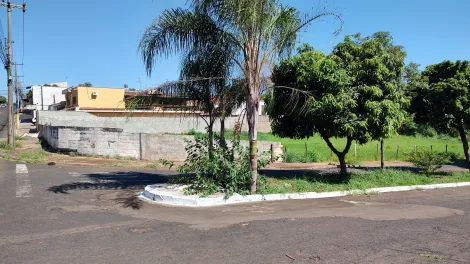 Alugar Terrenos / Misto em Jaboticabal. apenas R$ 980.000,00